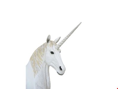 40a Matlock Place, North Perth WA 6006