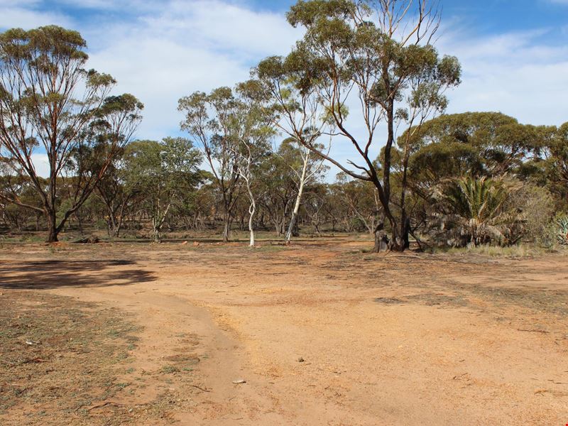 3 Scaddan St, Goomalling