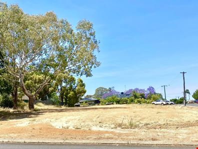 23 McDowell Street, Waroona WA 6215