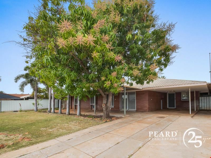 3 Flinders Court, Pegs Creek WA 6714