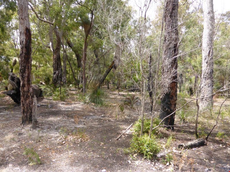 11 Fairlawn Place, Molloy Island WA 6290