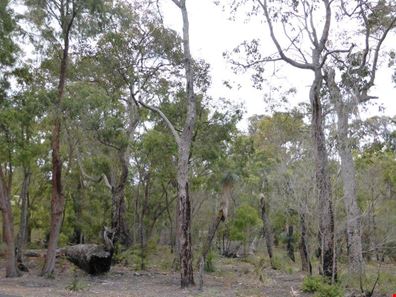 11 Fairlawn Place, Molloy Island WA 6290