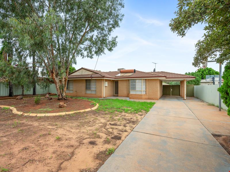 41 O'Connor Way, West Lamington WA 6430