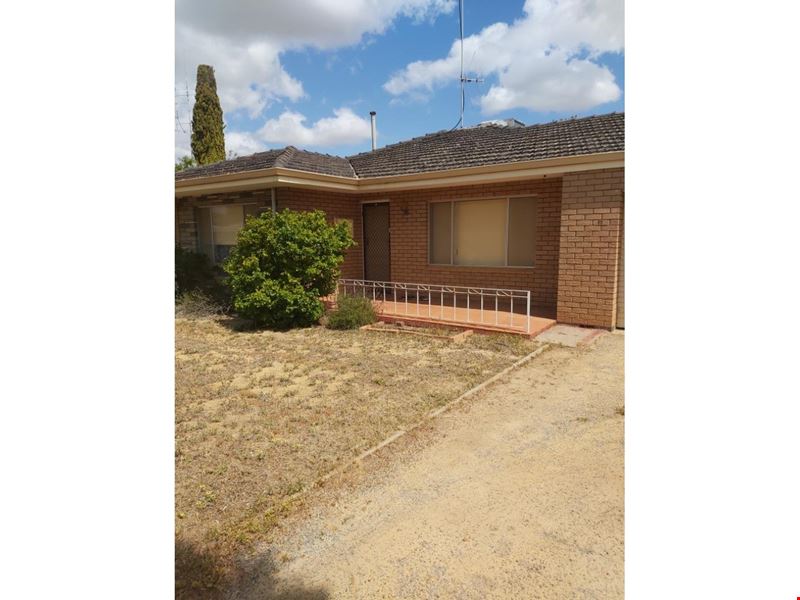 17 Patterson Street, Wongan Hills WA 6603