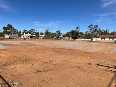 28 & 30 Fowler Street, Perenjori WA 6620