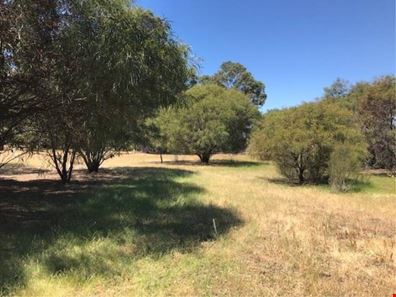 9003 Lake Clifton Road, Lake Clifton WA 6215