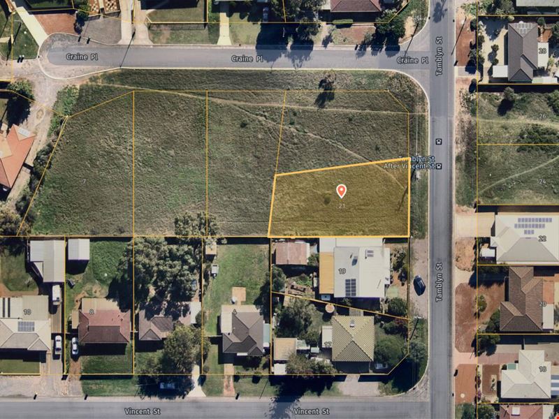 21 Tamblyn Street, Spalding WA 6530