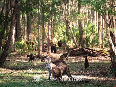 511/ Witchcliffe Forest Estate, 22 Redgate Road, Witchcliffe WA 6286