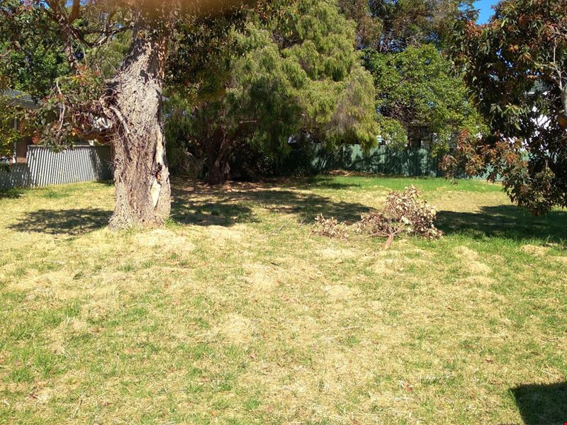 14 Thelma Street, Augusta WA 6290