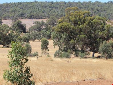 Lot No 19 Sims Road, Bakers Hill WA 6562