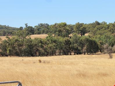 Lot No 19 Sims Road, Bakers Hill WA 6562