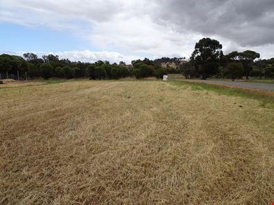 18 Channon Street, Williams WA 6391