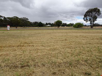 18 Channon Street, Williams WA 6391