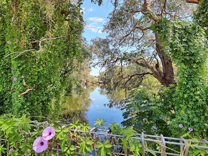 249/1 Heritage Cove, Maylands WA 6051