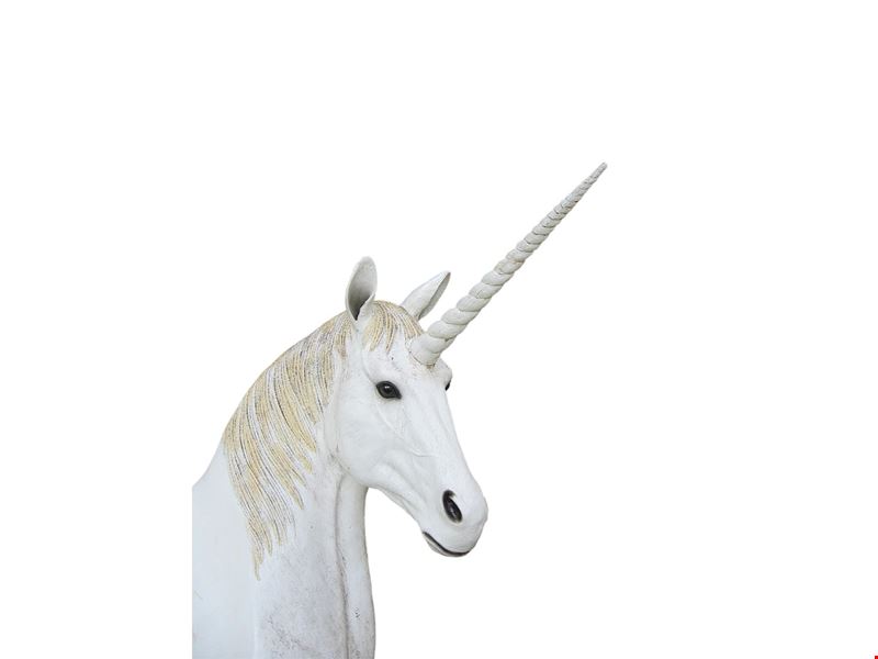 LAPI163-yc957z0 CFL CFS The High Street, Subiaco