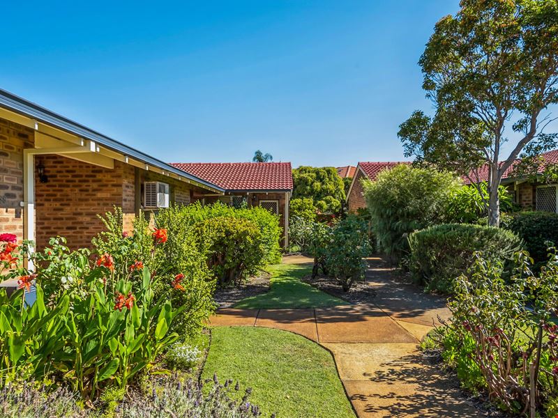 38/10 Houtmans Street, Shelley WA 6148