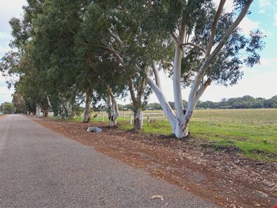 Lot 74, 102 Archibald Street, Muchea WA 6501