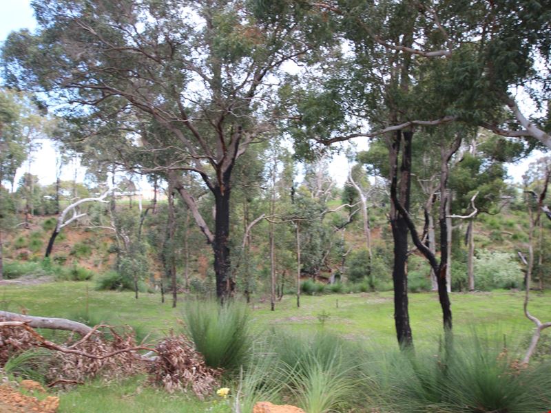 Lot/39 Nanga Brook Road, Waroona WA 6215