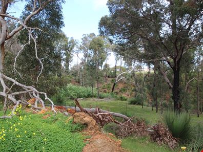 Lot/39 Nanga Brook Road, Waroona WA 6215