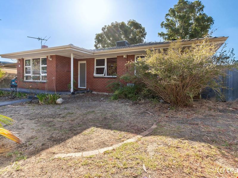 19 Harford Avenue, Viveash WA 6056