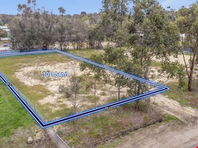20 George Beacham Way, Pinjarra WA 6208