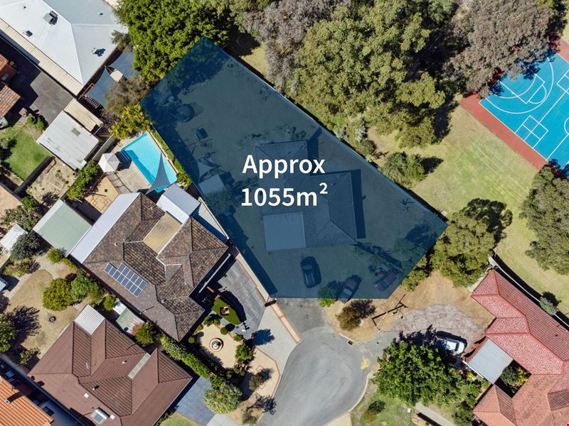 2 Alfa Place, Balcatta WA 6021