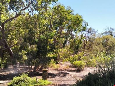 4 Councel Close, Herron WA 6211