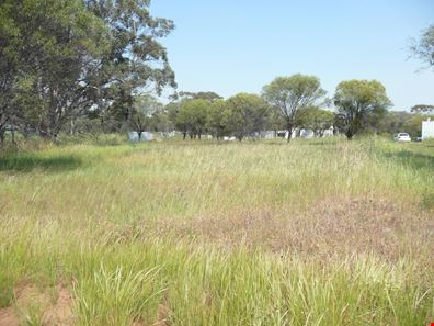 Lot 122 Scott Street, Mount Hardey WA 6302
