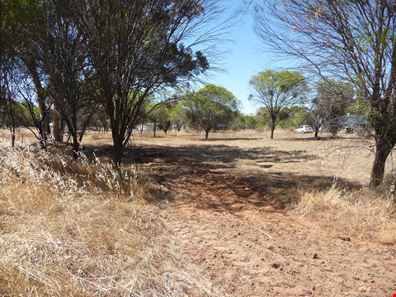 Lot 122 Scott Street, Mount Hardey WA 6302