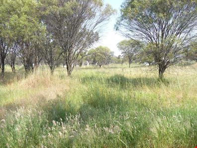 Lot 122 Scott Street, Mount Hardey WA 6302