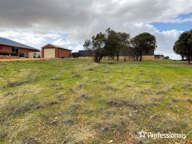 12 Bunker Way, Northam WA 6401