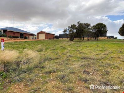 12 Bunker Way, Northam WA 6401