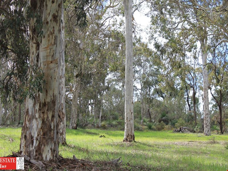 3145 Needham Road, Wooroloo WA 6558