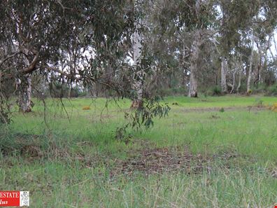 3145 Needham Road, Wooroloo WA 6558