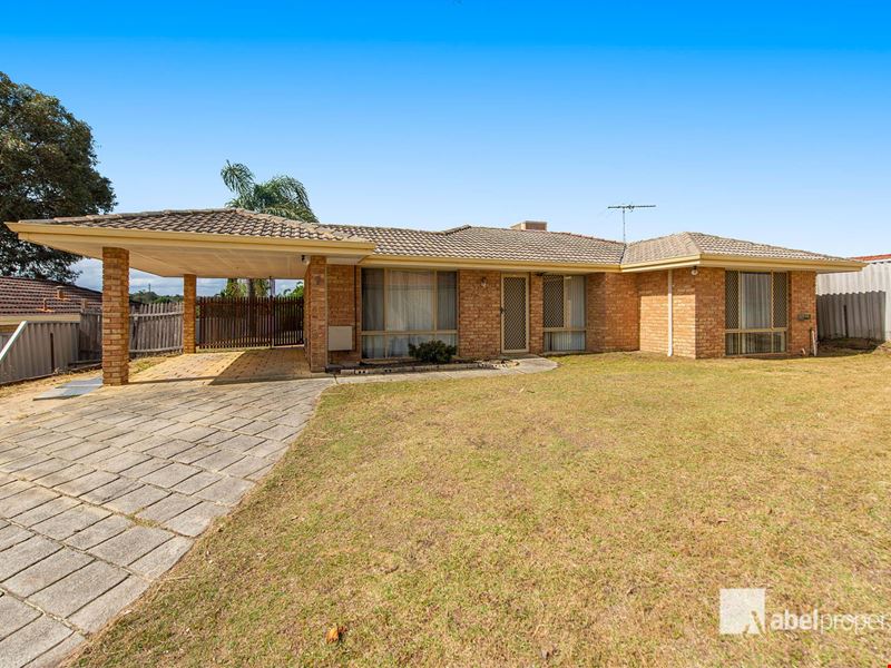 7 Veldt Mews, Mirrabooka WA 6061