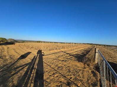 121 Waterville Road, Wanerie WA 6503