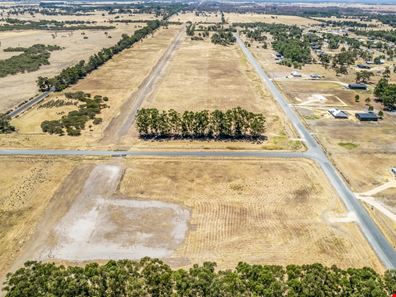 203/ Readheads Road, North Dandalup WA 6207