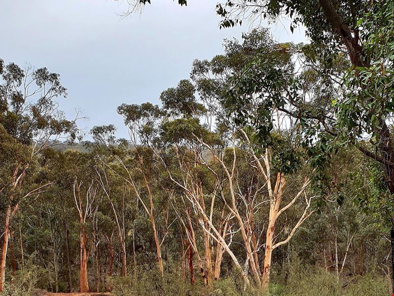Lot 3,  Paynter Road, Clackline WA 6564