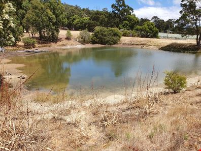 Lot 42 Eastern Rise, Henty WA 6236