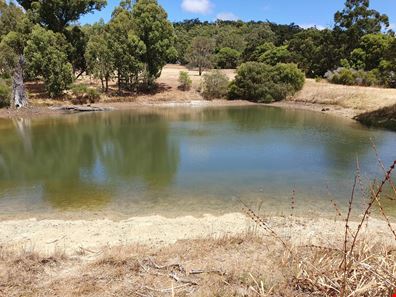 Lot 42 Eastern Rise, Henty WA 6236