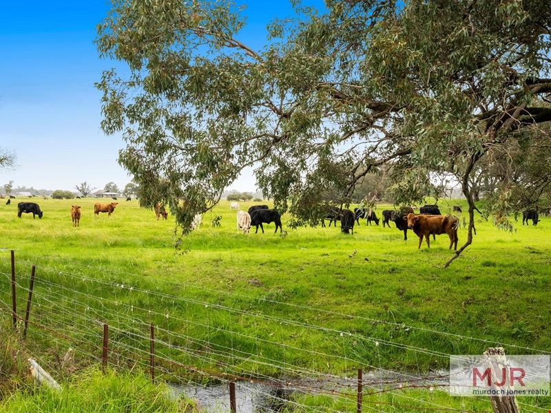 River Road, Hopeland WA 6125