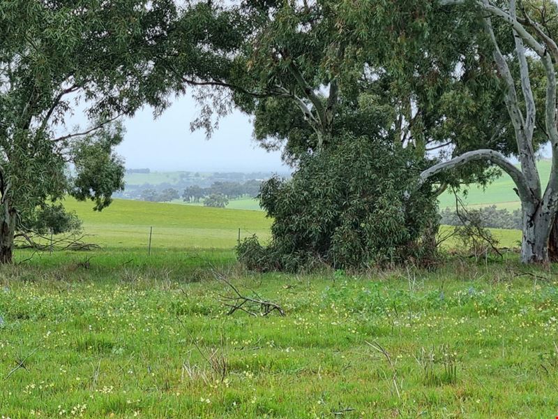 Lot 66,  Starbush Way, Ginginup WA 6503