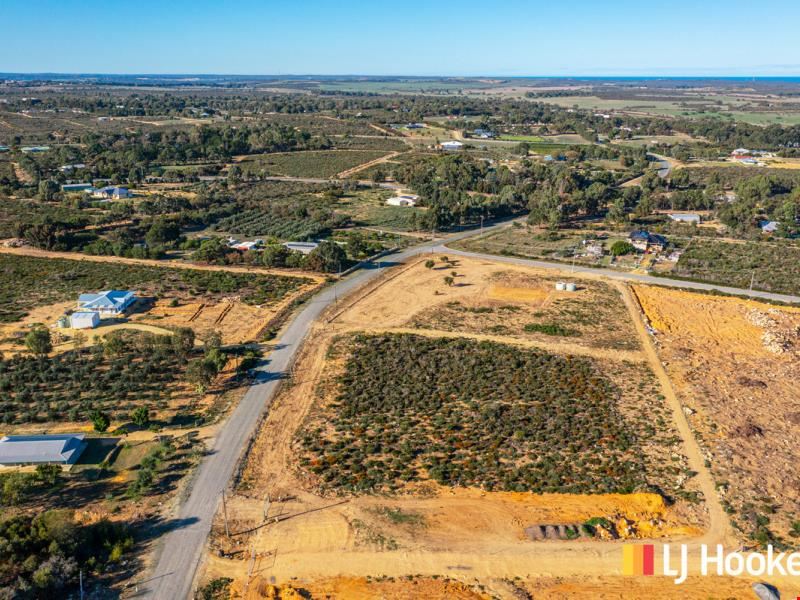 20 Tamarisk Drive, Gabbadah WA 6041