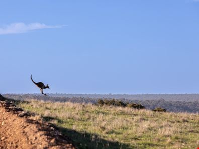 631/ Malvi Close, Lower Chittering WA 6084