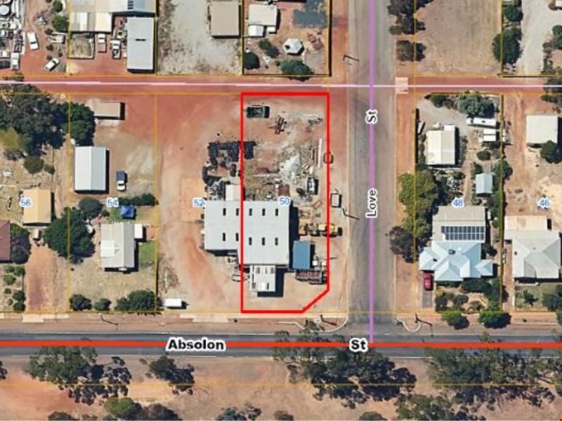 50 & 52 Absolon  Street, Dumbleyung WA 6350