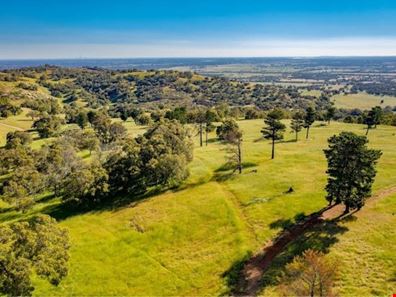 Lot 43,  Lage Road, Bullsbrook WA 6084