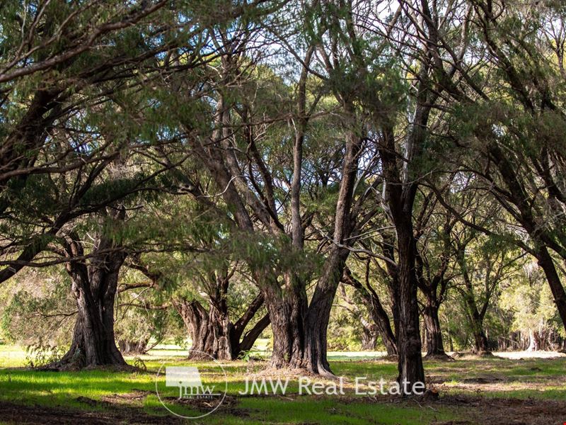 505/ Gidgee Road, Witchcliffe WA 6286