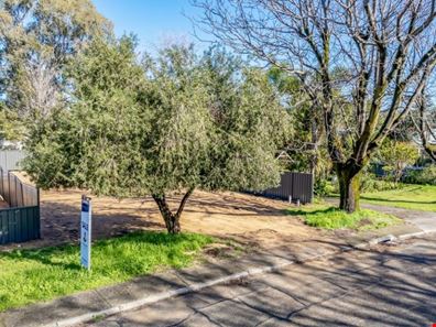 16 Matson Street, Medina WA 6167