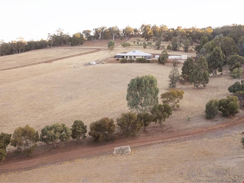 111 O'Connell Road, Wandering