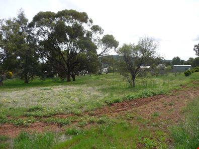 13 Lincoln Street, York WA 6302